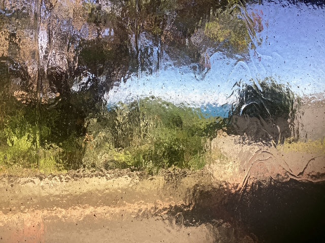 Clear Seedy - Wissmach